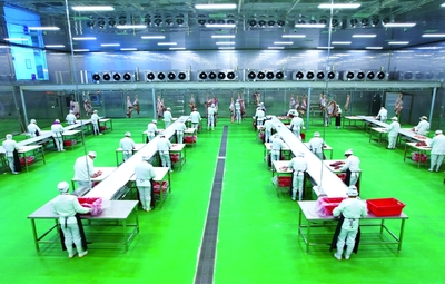 瑞金市聚道食品肉牛产业数智工厂生产忙 食品产业升级注入强劲动力